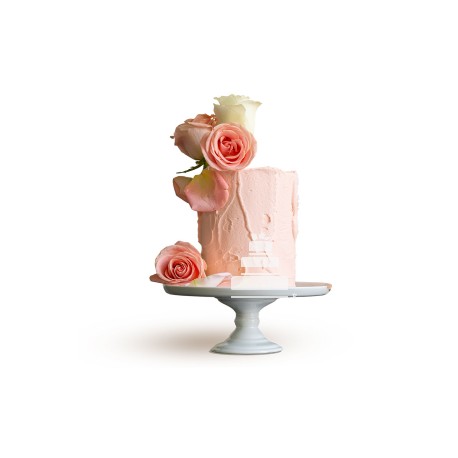 Salmon roses & buttercream, pastel aesthetic decorado con rosas naturales