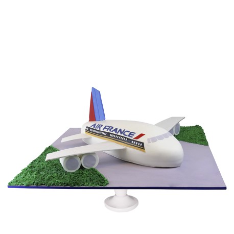 Airplane Cake, Pastel decorado con forma de avión